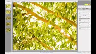 קורס פוטושופ לצלמים Lightroom/ACR synchronize |עיבוד קבצי raw 15