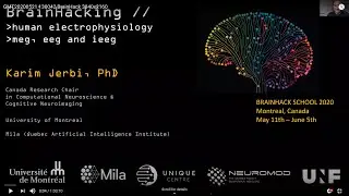 Introduction to human electrophysiology (MEG, EEG, iEEG)