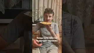 КОГДА БАТЕ ГРУСТНО! Выручает теремок