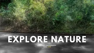 LANDSCAPE PHOTOGRAPHY | Hiking in the forest | Nature photography | Woodland