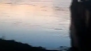 Медведь.