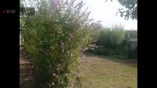 НЕТ, ТАКОГО НЕ БУДЕТ, А БУДЕТ ВОТ КАК..... 28.09.2024 г.