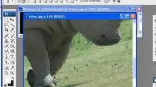 Photoshop Tips - Cutout using Pen Tool - voslink.com