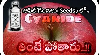 ఆపిల్ గింజల్లో సైనైడ్ |Cyanide in Apple Seeds #apple #poisonousplants #poision #fruitcutting #reels.