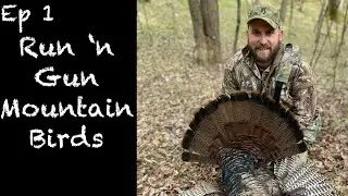 Hunting Pressured Gobblers - Aggressive Tactics FTW (Maryland Public Land)