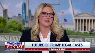 'He committed a bunch of crimes': Fox News pundits battle over Trump cases