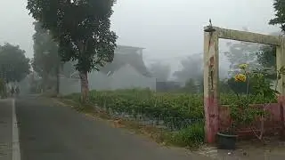 #VIRAL,FENOMENA ALAM./YOGYAKARTA/SLEMAN/TETIBA BERKABUT DINGIN 🥶🥶🥶🥶