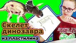 Скелет динозавра из пластилина для мультфильма