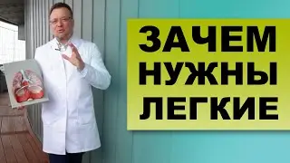 ЗАЧЕМ НАМ НУЖНЫ ЛЕГКИЕ? - Сюжет из программы 
