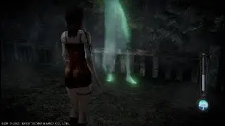 My Ideal Woman