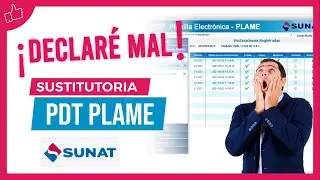 Declaración Sustitutoria/Rectificatoria del PDT PLAME 2022 Sunat |Corregir declaracion mensual sunat