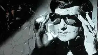 Roy Orbison in Plectrums