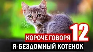 КОРОЧЕ ГОВОРЯ Я БЕЗДОМНЫЙ КОТЕНОК 12 [От первого лица] История одной жизни Я БЕЗДОМНЫЙ ЩЕНОК