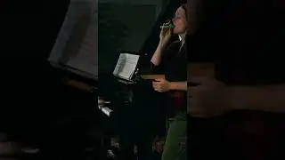 Classical piano meets kazoo 🌹 #piano #music #pianocover #modernclassical #concert #pianomusic