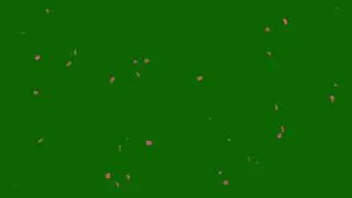 flower rain green effect video background|green screen effect|no copyright