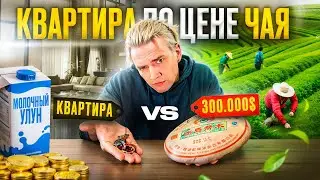 Чай по цене квартиры! Разрушители чайных мифов.