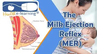 The Milk Ejection Reflex | Health e-Learning