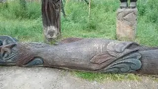 поход в городской парк Магадана