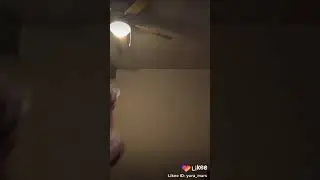 Хорек танцует 😂
