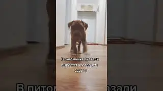 Не обманули?