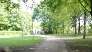 Japanse Tuin,японский Сад