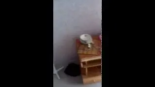 хата