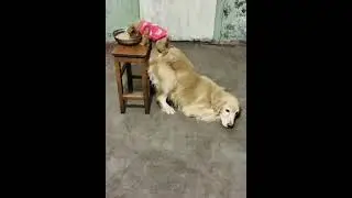 Приятного аппетита 😋