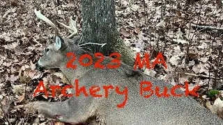 Mass Archery Buck
