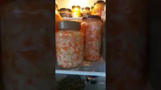 Ферментированная еда. ЗОЖ