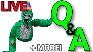 🟥LIVE🟥 Q & A