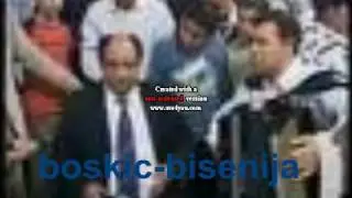 boskic bisenija