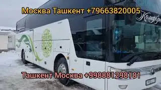 Питер Ташкент автобус Москва Ташкент автобус Москва Бухара автобус Ташкент Москва автобус