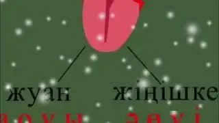 3-сынып. Қазақ тілі. Дыбыс және әріп