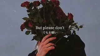 【和訳】VINCINT - Please Don't Fall In Love   洋楽