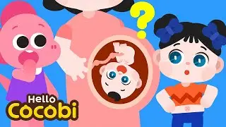 Belly Button Song | Why Do We Have Belly Buttons? | Nursery Rhymes & Kids Songs | Hello Cocobi