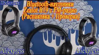 Package: Zealot B19 Bluetooth Headphones with FM Radio (Unboxing + Testing)