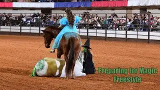 Mustang Magic Celebrity Freestyle Preparation