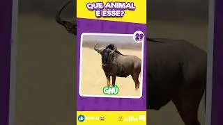 Curtinho! ❓ Adivinhe o pela sombra Edição: animais Parte#1 🐶 🐱