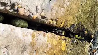 Гизель Дере ( Туапсе)