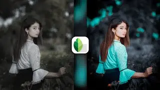 snapseed realistic effect editing tutorial | background change editing | dark aqua effect editing