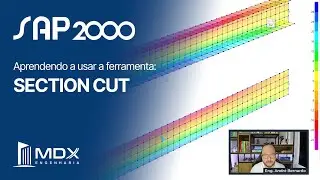SAP2000: Learning how to use the SECTION CUT tool
