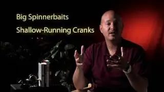 Fall Bass Fishing Tips