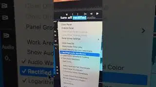 Are you Team Rectified or No Rectified Audio Waveforms 🧐