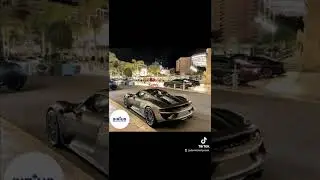 Sirius Management and services. Operazioni fiduciarie e di tutela del patrimonio familiare.