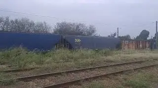 Trem de MRS em Campinas - SP (19/10/2024)
