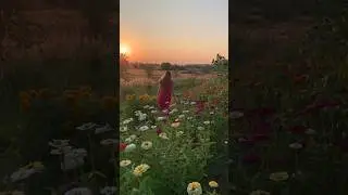 Последний день лета