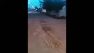 Асыранды Арқар
