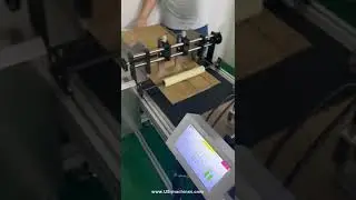 Automatic box carton paging feeding inkjet printer machine with feeder conveyor