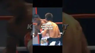 How to knockout Buakaw