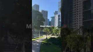 Жизнь в Маями